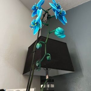 Meet your Posher, Flor